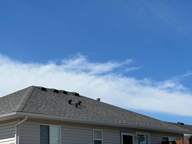 Best Wood Shake Roofing  in Dovesville, SC
