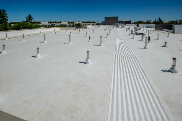 Best Cold Roofs  in Dovesville, SC